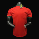 Football Shirt Portugal Home 72 Retro back
