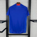 Football Shirt Japan Home 2010 Retro back