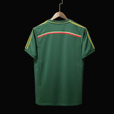 Football Shirt Palmeiras Home 14-15 Retro back