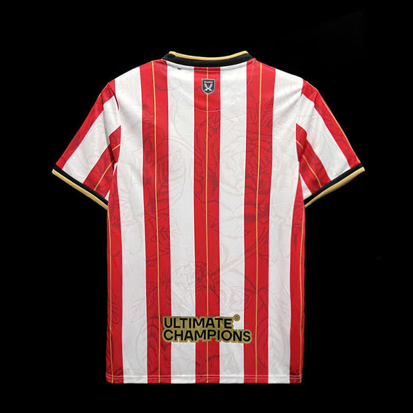 Football Shirt Sheffield United Limited Edition 23-24 back
