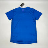 Football Shirt Iceland Home 16-17 Retro back