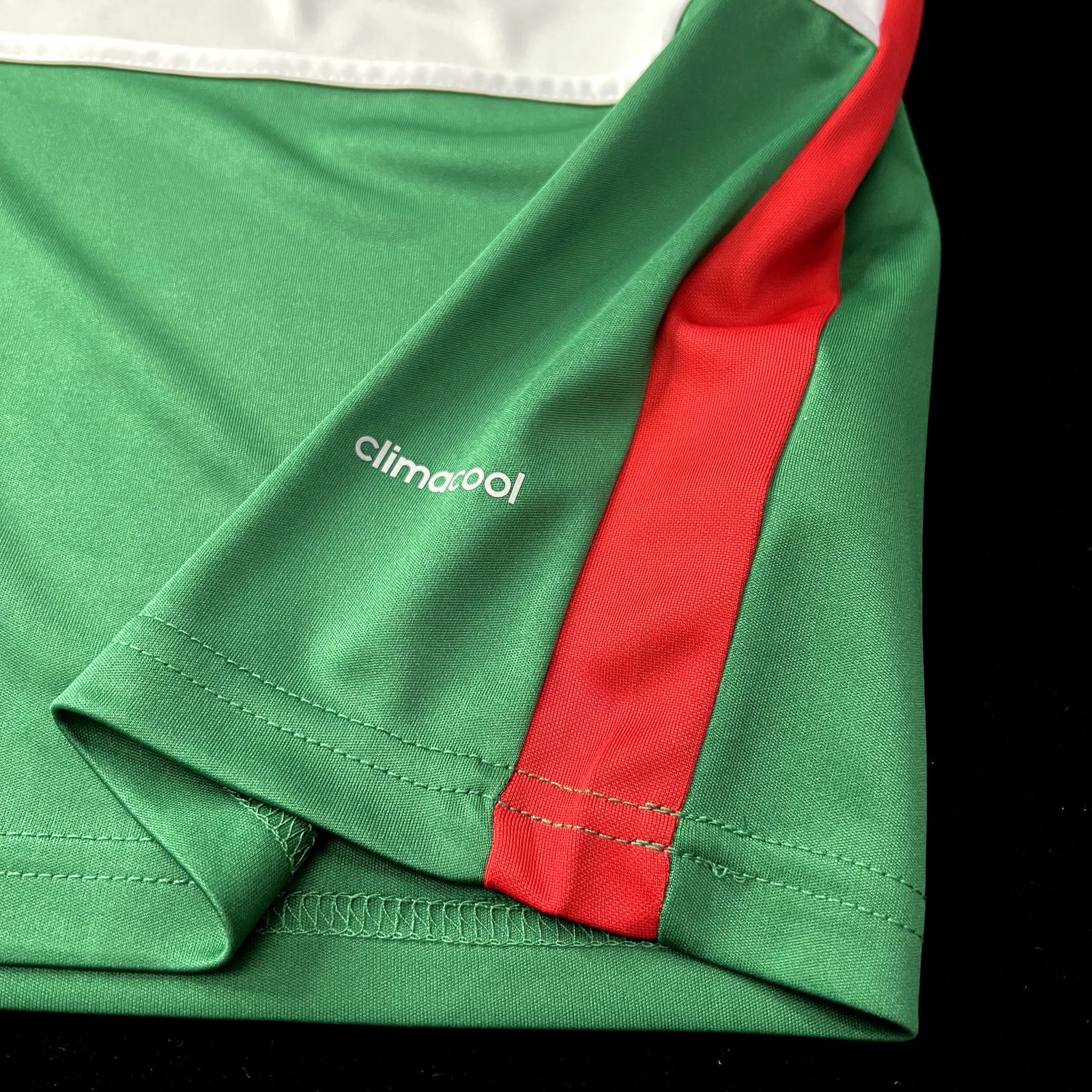 Football Shirt Palmeiras Centennial Edition 2014 Retro extra 1