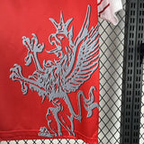 Football Shirt Perugia Home 98-99 Retro extra 1