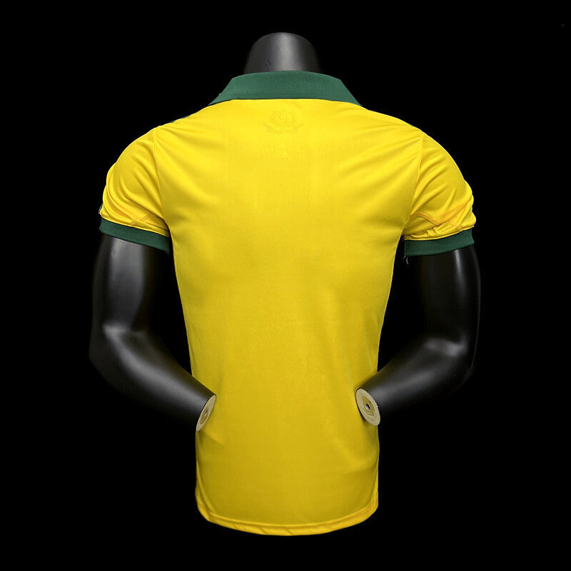 Football Shirt Palmeiras Centennial 25-26 Third back