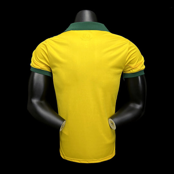 Football Shirt Palmeiras Centennial 25-26 Third back