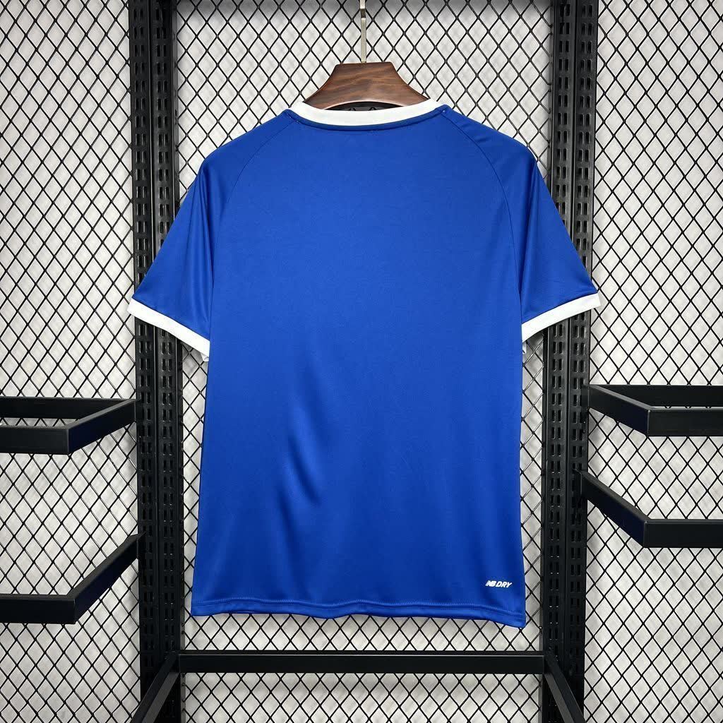 Football Shirt Cardiff City Home 24-25 back