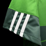 Football Shirt Palmeiras Home 10-11 extra 4